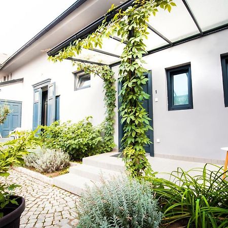 Apartmani Sterija Novi Sad Dış mekan fotoğraf